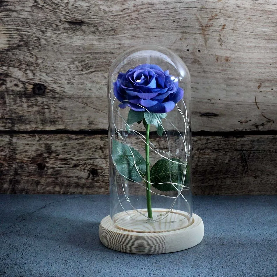 Красивая роза, вечный светильник, красивая роза и розовый зверь на ...