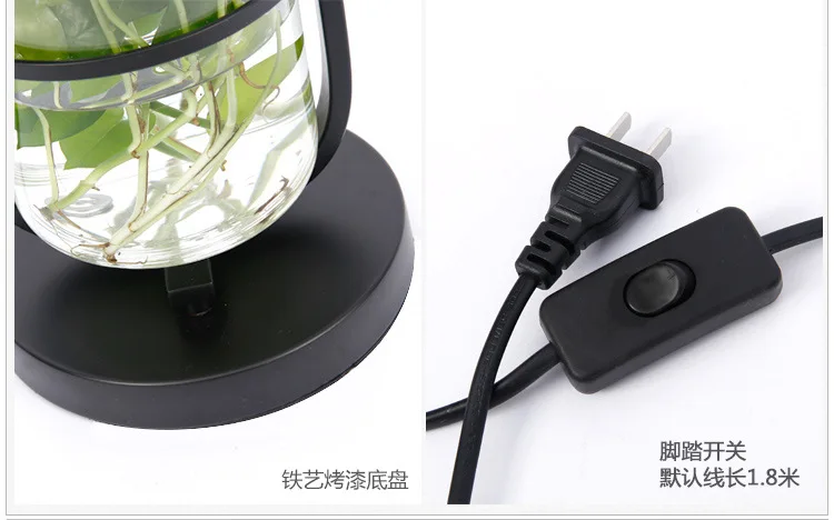 4461526505_647323410