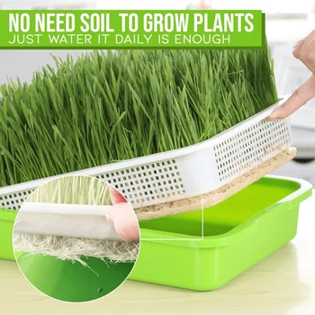

Nursery Pots Sprouting Tray Bean Sprout Planter Small Planting Garden Home Office Plastic 2-Layer Hollow Kit Germination Tool