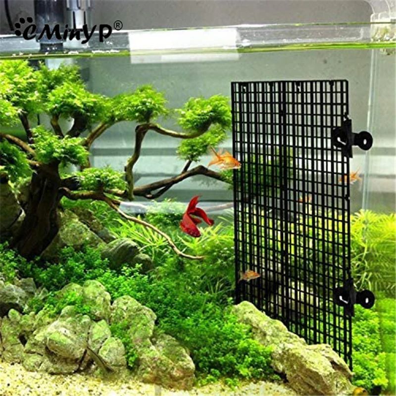 Plateau Séparateur De Grille D'aquarium En Plastique, Plateau De Séparation  De Fond D'aquarium De Poisson, Panneau D'isolation De Fond De Caisse  D'œufs, Trou Pour Reproduction Mixte, Système D'eau Filtrant - Filtre 