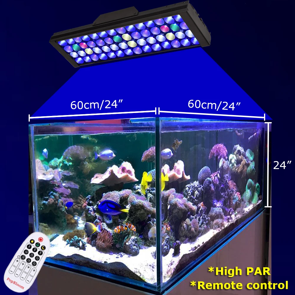 2pcs Dsuny Saltwater Led Aquarium Lighting 48 4ft Coral Marine Fish Tank Lights,7 Card Gin Rummy Rules