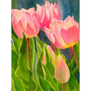 

Gatyztory DIY Painting By Numbers Pink Tulip Flower Handpainted Oil Painting Canvas Colouring 60x75cm Frame Home Art