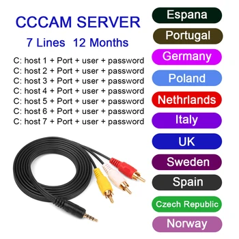 

Europe most stable Cccam for spain portugal germany 3/7 lines support cccams satellite tv receiver set top HD 48h free test
