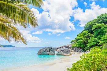 

Vinyl Custom Scenery Photography Backdrops Props Beach theme Photo Studio Background F20020-95