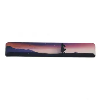 

SpaceBar Keycap PBT Five Sides Dye-Subbed 6.25U OEM Profile Keyboard Keycap