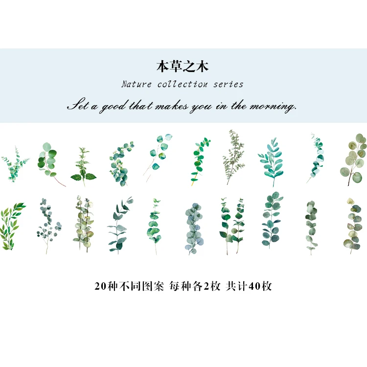 40 листов/упак. винтажный Botany цветы грибные растения трюфель ретро натуральный образец коллекция креативные свежие папоротник лист самодельные декоративные стикеры Скрапбукинг планировщик фото рамка Escolar - Цвет: W-TZ-2302006