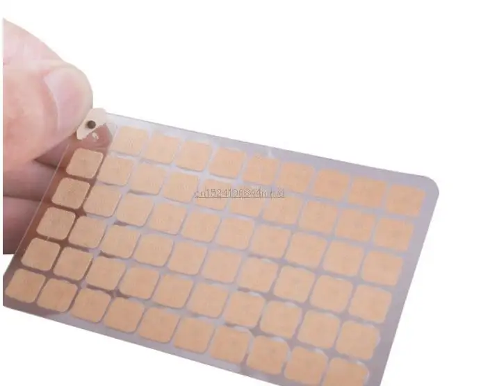 10554501384_856615305