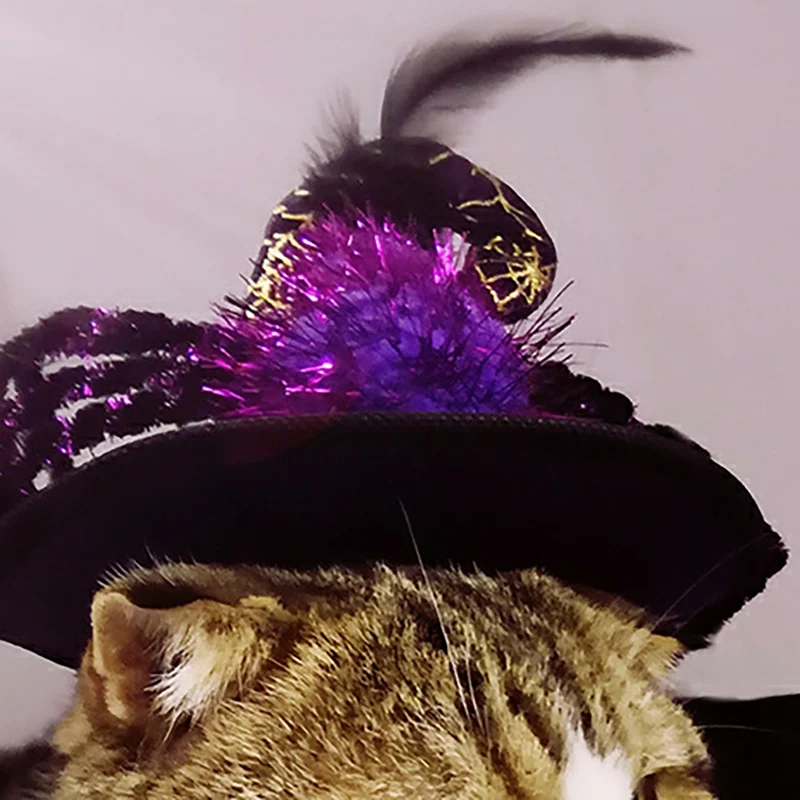 COS Props Pet Halloween Funny Dogs Cat Spider Hat Party Costume Headwear Cosplay Clothing Accessories