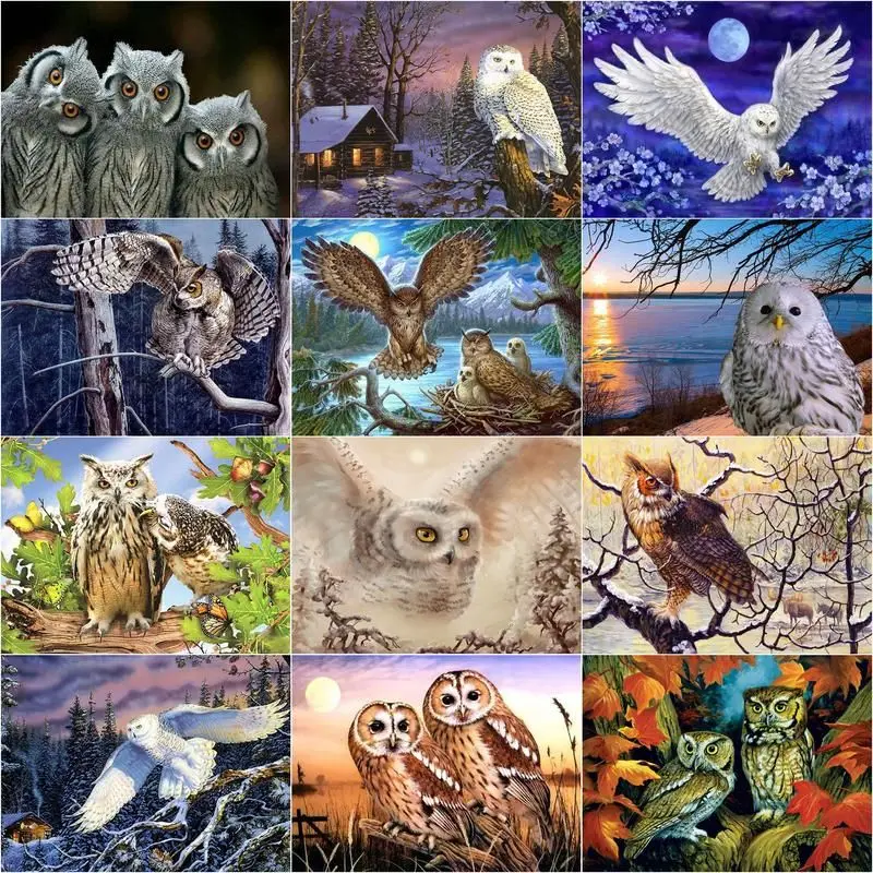 73 Koleksi Sketsa Gambar Burung Hantu Untuk Kolase HD Terbaru
