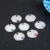 Персонализированная Собака Тег Пользовательские Pet Puppy Cat ID Tag Ошейник Аксессуары Выгравированы Из Нержавеющей Стали Имя Номер для Собак Кошек