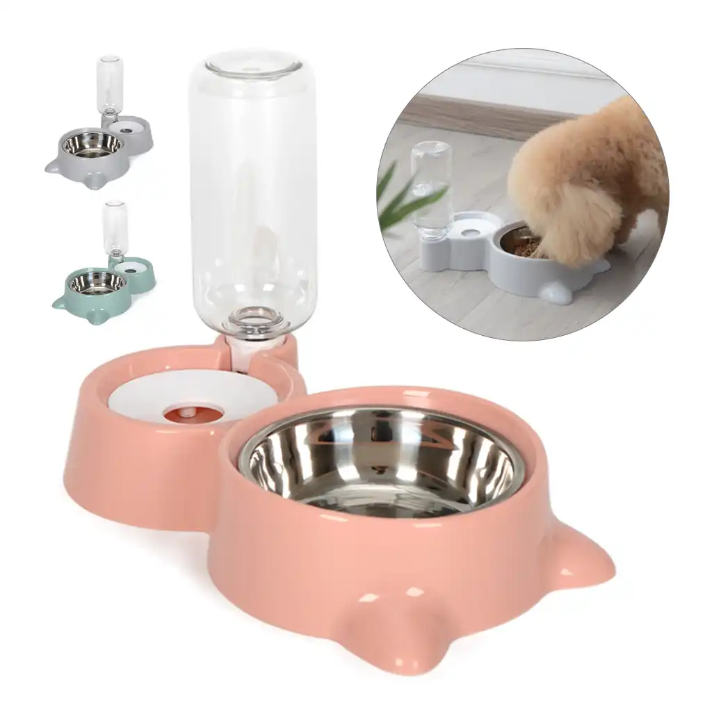pretty dog bowls