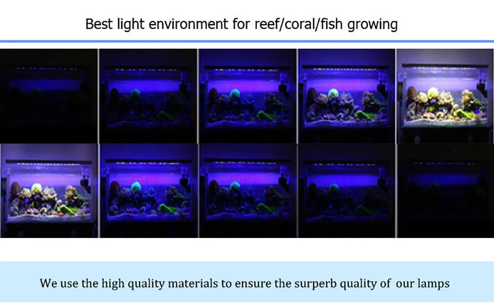 7500 кельвинов для аквариума. Аквариум кельвин. Аквариум баннер. Аквариум кельвин. Освещение в аквариуме с растениями.