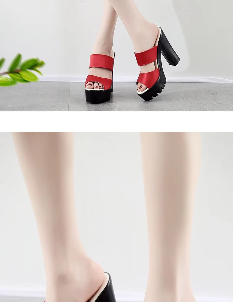 10663857123_93691748