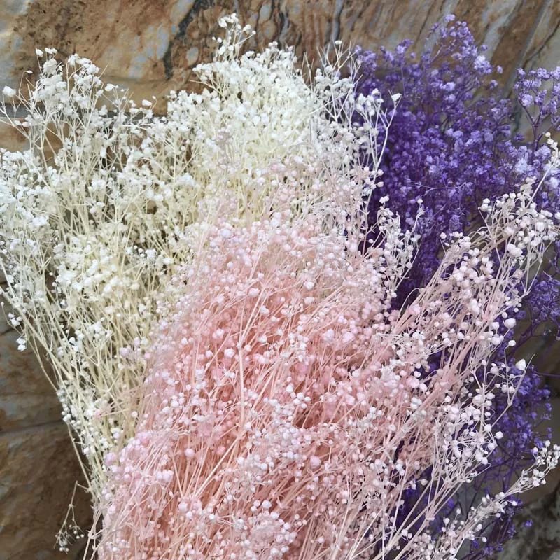 本物の天然植物で永遠に新鮮なベビーブレス 60g ドライフラワー 家の装飾用の乾燥したカスミソウの花束 造花 ドライフラワー Aliexpress