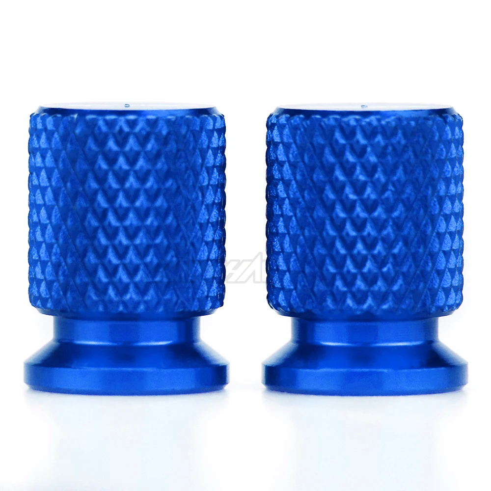 S1000RR TYRE VALVE (2)