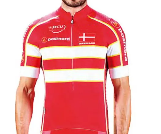 denmark national team jersey