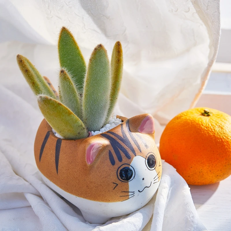 Cartoon Kat Vormige Keramische Succulente Plantenbak Bloempotten Decor Slapende