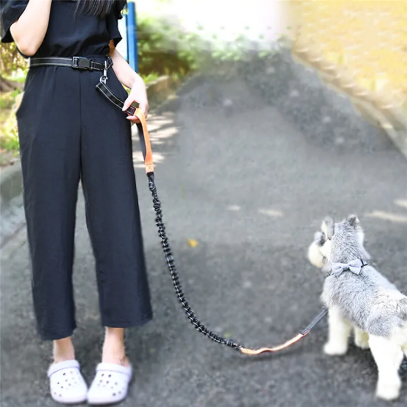 

Dogs Hands Free Leash Running Bag Elasticity Freely Hand Harness Collar Jogging Lead Adjustable Waist Rope Waist Belt