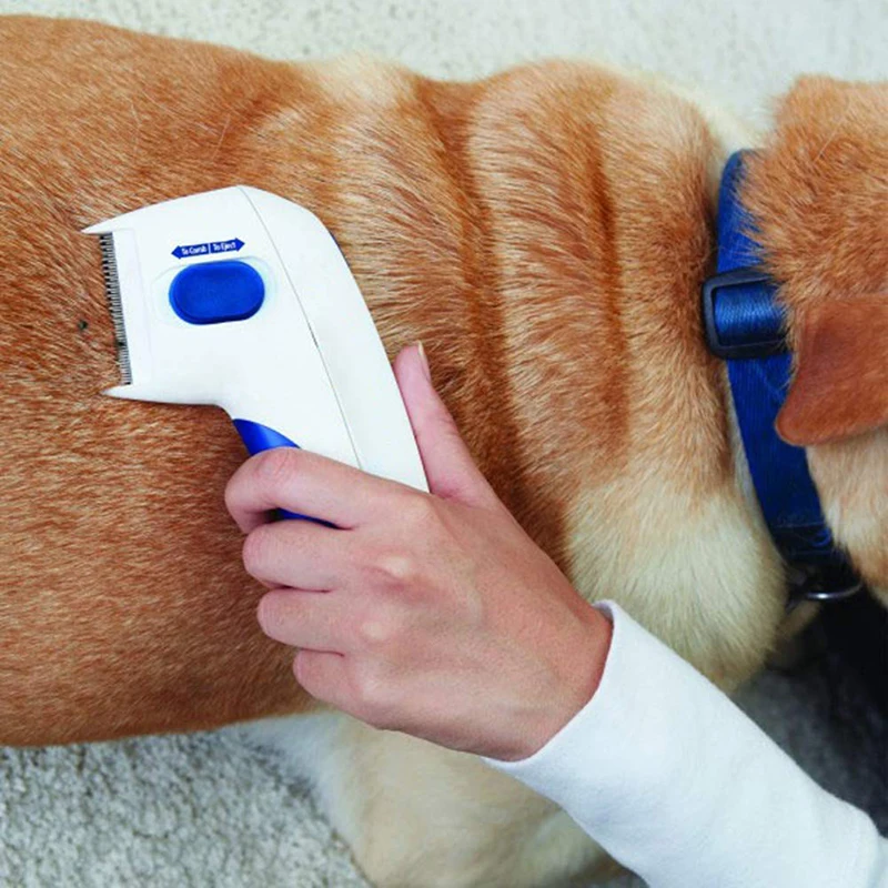 Flea Comb Electric Head Lice Comb Head Lice Removal Perfect Pet Flea and Tick Comb Tool 5