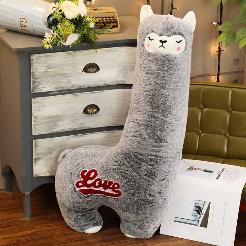 Альпака Животное Купить Цена В России