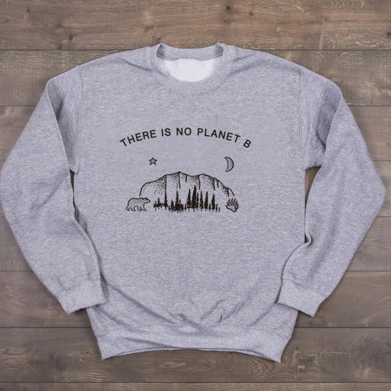 Серый Harajuku/Женский пуловер с буквенным принтом No Planet B, Tumblr, эстетический корейский джемпер, Повседневная Толстовка для девочек, кавайная толстовка, Прямая поставка - Цвет: Серый