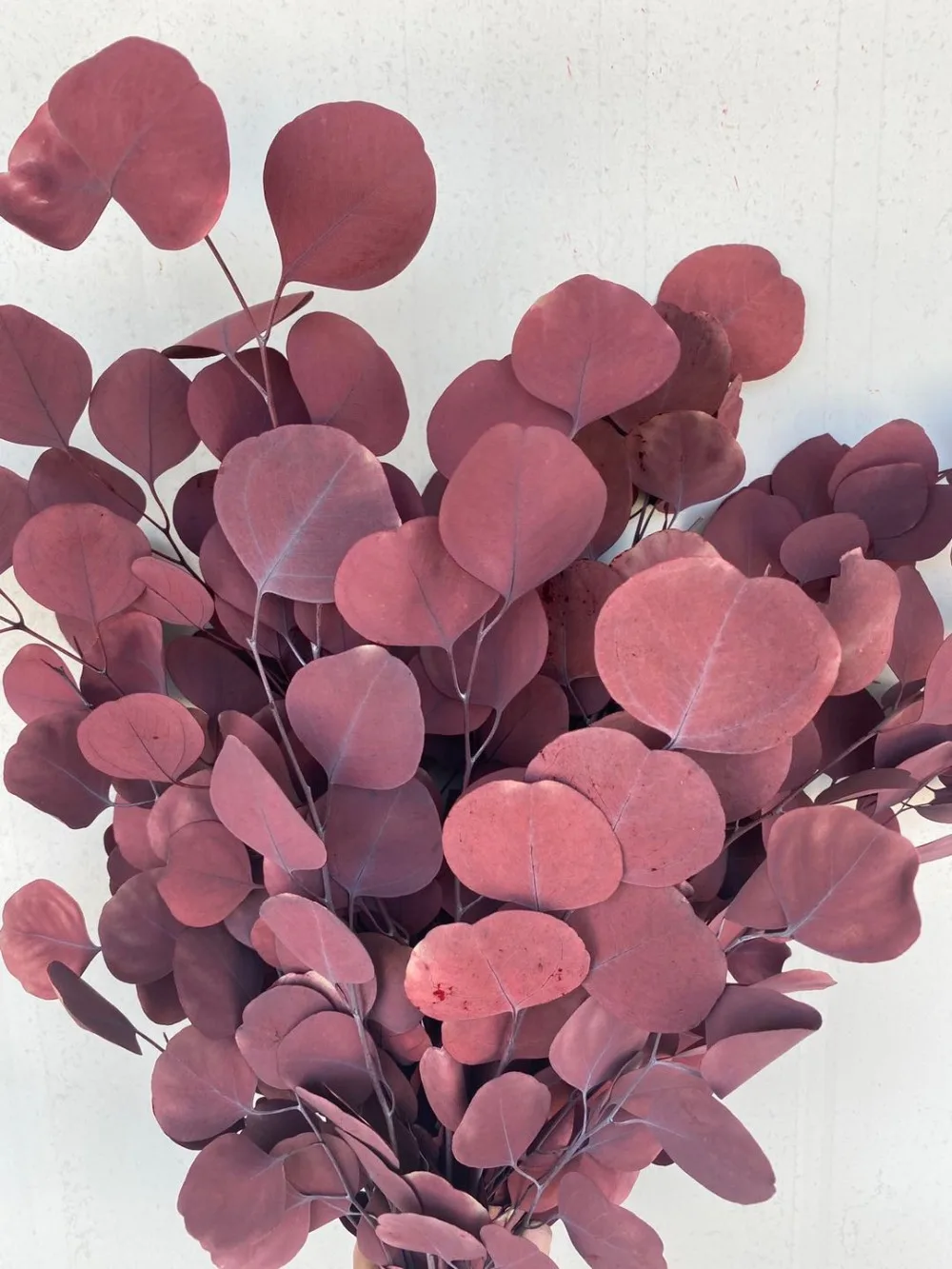 微信图片_20201020150312