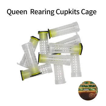 

10Pcs Beekeping Tool Nicot Queen Rearing Cupkits Cages Bees Roller Cage Holder Fixtures Apiculture Equipment