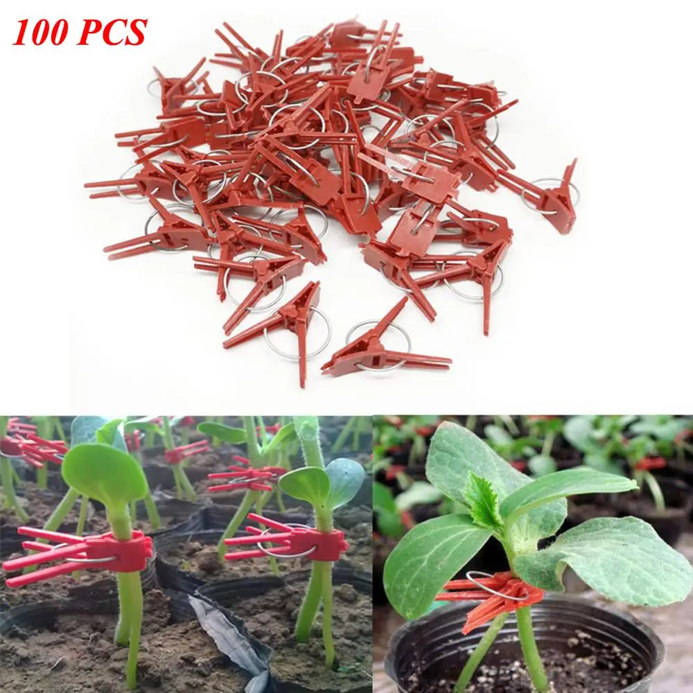 

100pcs Plastic grafting Graft clip Garden Plant Support for Vegetable Flower Tomato Stalks Fix Grow Upright Grafting Tool