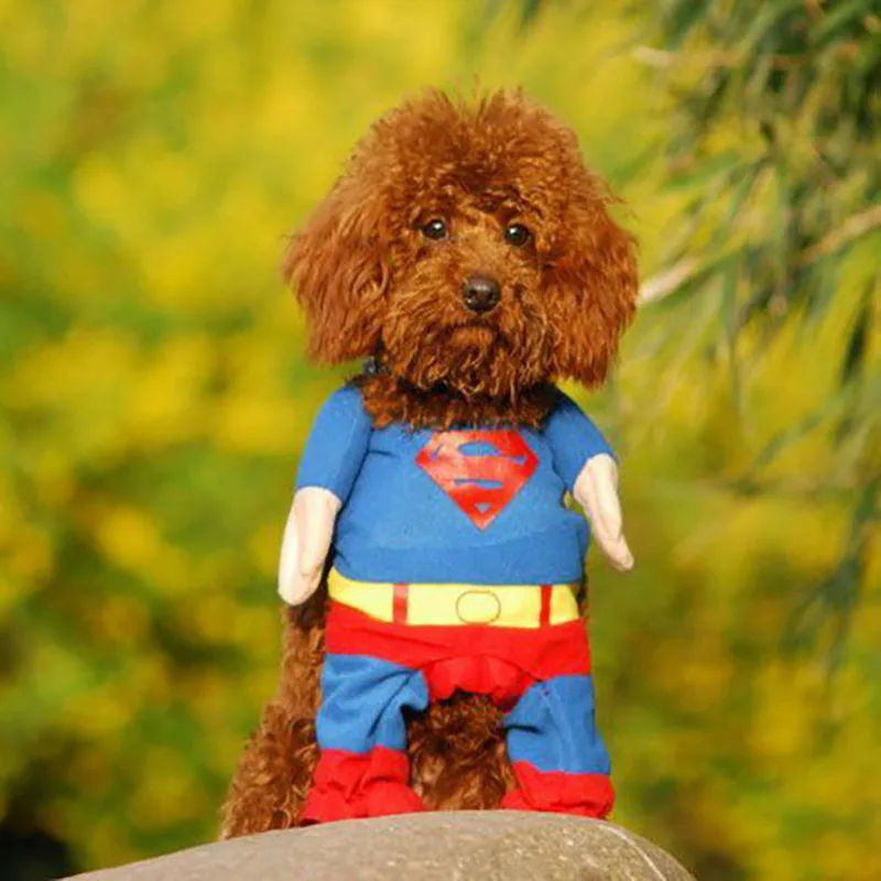 Одежда для собак с суперменом, свитера с Суперменом, плащи на Хэллоуин, одежда для собак, стоящая Рождественская одежда