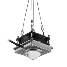 300 Вт COB Светодиодная лампа для выращивания растений для растений цветок Крытый гидропоники теплицы полный спектр светодиодный светильник для выращивания растений