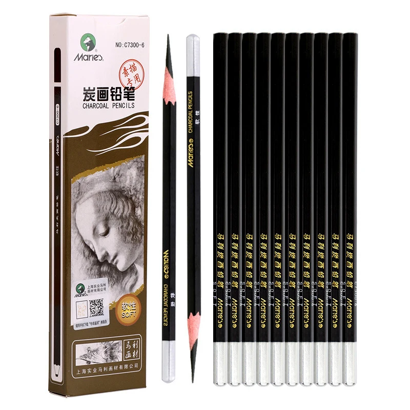 6Pcs Set Professional Woodless Graphite Charcoal Pencils HB / 2H