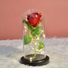 Best Price Rose In Glass Led Night Light Beauty And The Beast Little Prince Valentine's Day Gift artificial flower Best Price Rose In Glass Led Night Light Beauty And The Beast Little Prince Valentine's Day Gift artificial flower