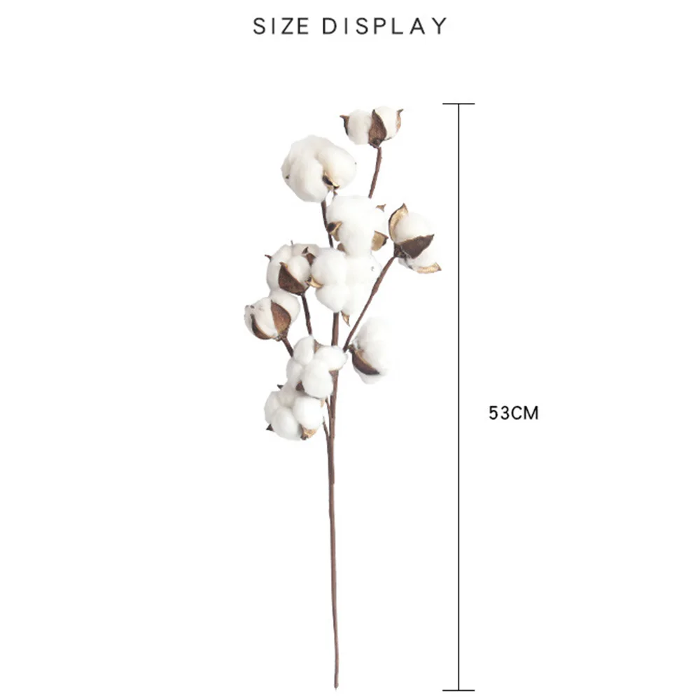 

Cotton Flower Naturally Dried Plants Floral Branch For Wedding Party Decoration Art Fake Flowers Home Decor Artificial