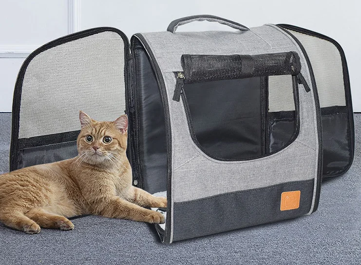 QQ截图20200321165734