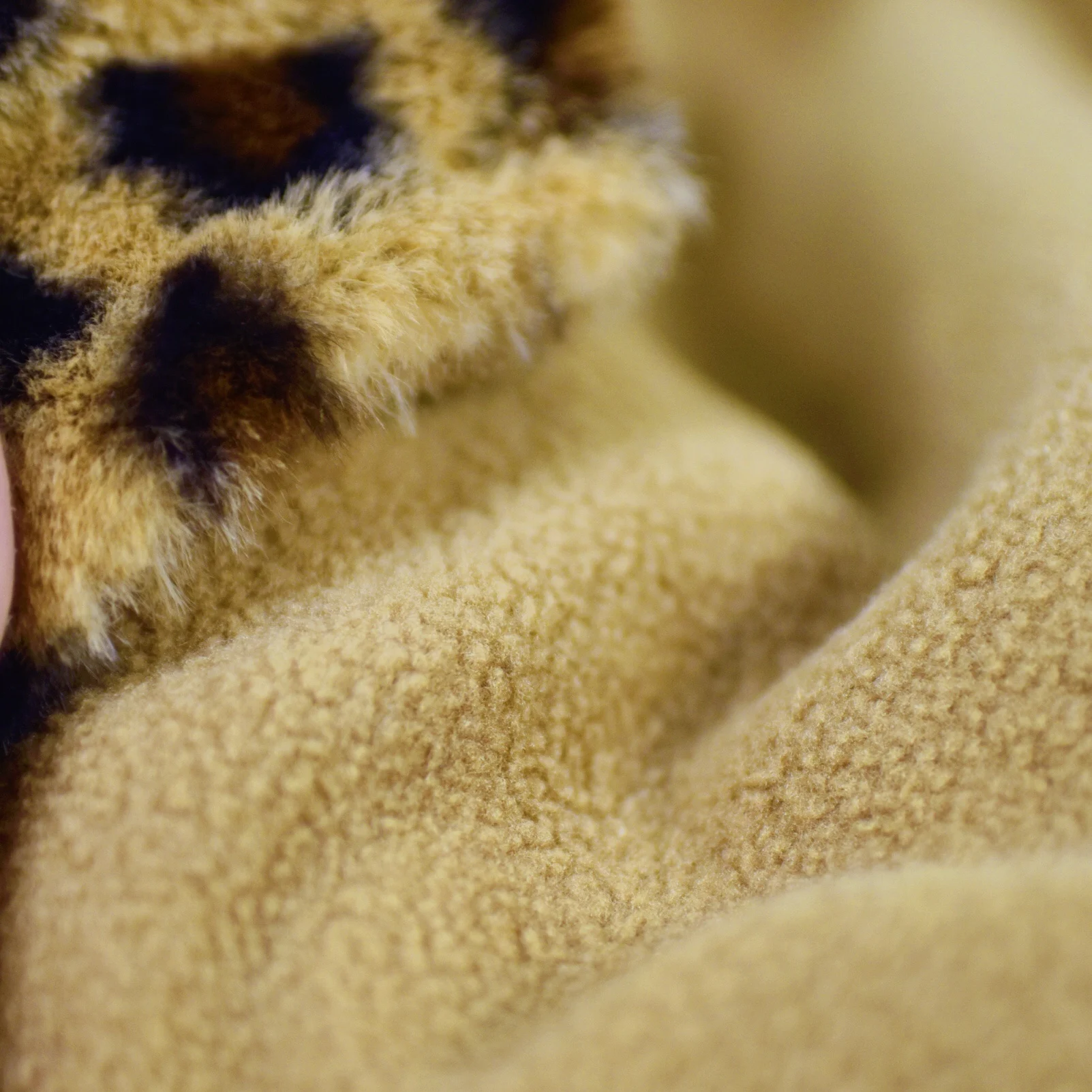 Hdf263254635a42cdb5e790d62584321bN