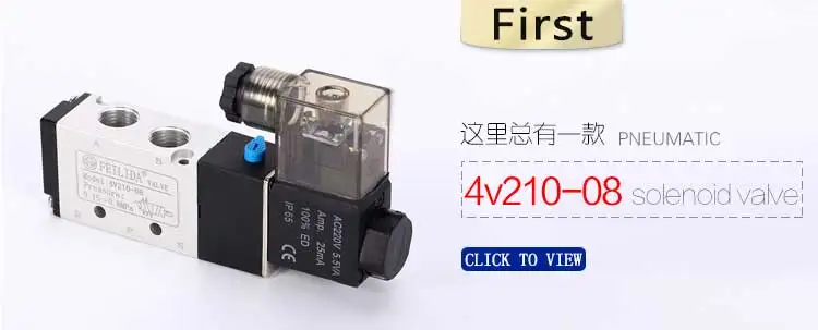 任侃侃小泰迪_02