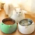 Pet Cat Bowl 15 Градусов Наклоненная Собака Cat Feeder Pet Food Drinker Фонтанные Чаши Для Кошек Аксессуары Для собак миска для кошки