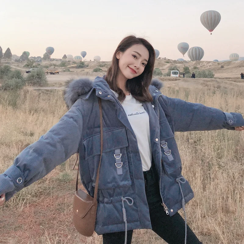 36020181106103117855