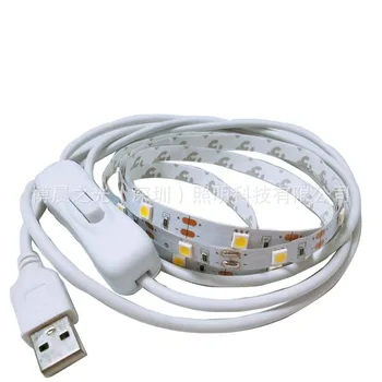

5v Switch Soft Light Belt USB Light Article USB Switch Lamp Holiday Decorative Lights Artware Decorative Lamp