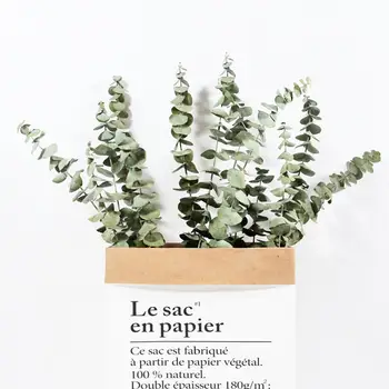 

10PCS Eucalyptus Branches For Home Party Decoration Dried Fresh Size Flowers Leaf Natural Immortal Large P5G7
