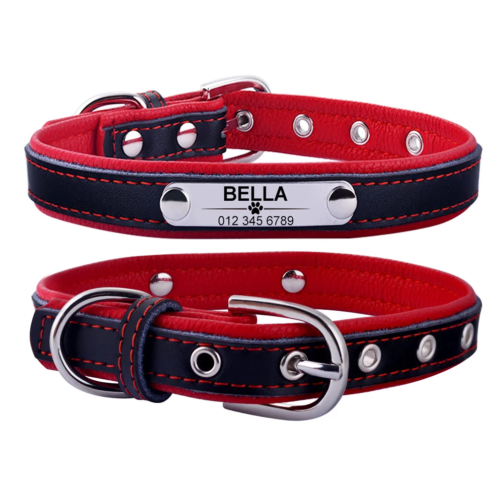 custom engraved dog collars