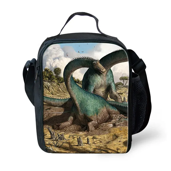 CDYXX0174G Thikin динозавр сумки для обедов для студентов мальчиков Tyrannosaurus портативный кулер для детей Птерозавр сумка для пикника для девочек - Цвет: CDYXX0174G