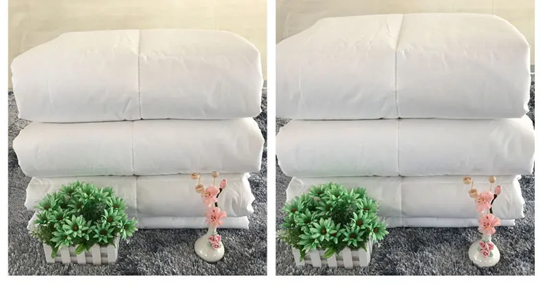 7312801391_274705357