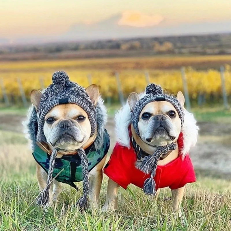 canadapooch_44336480_111388111