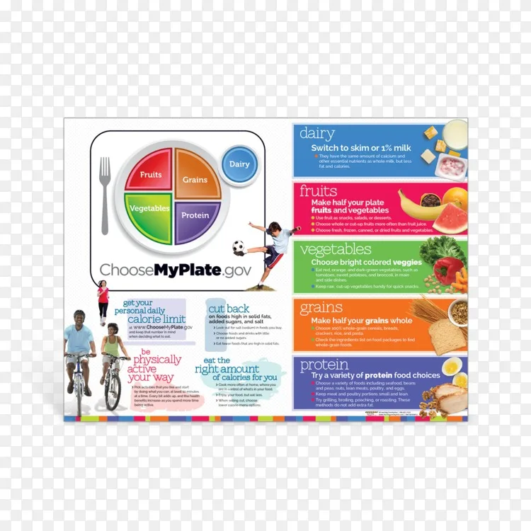 Myplate营养海报食物组 淘宝网海报png图片素材免费下载 图片编号 Png素材网 Myplate营养海报食物组 淘宝网海报png图片素材免费下载 图片编号 Png素材网