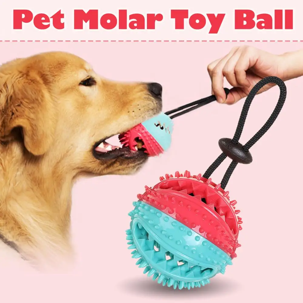 Pet Dog Toy Rubber Ball Grind Clean Teeth Molar Bite Resistant Leakage Food Ball