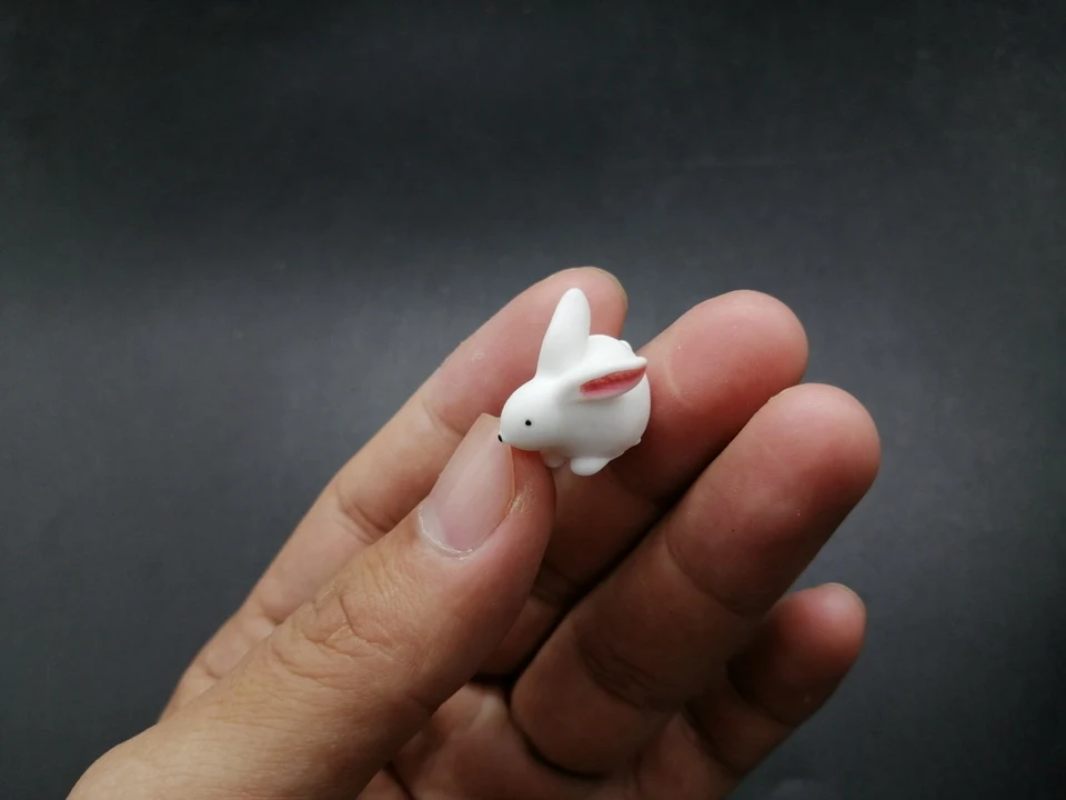 Tiny-A249 (2)
