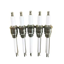 Proportional burner ignition needle / gas stove ceramic spark ignition electrode / industrial burner