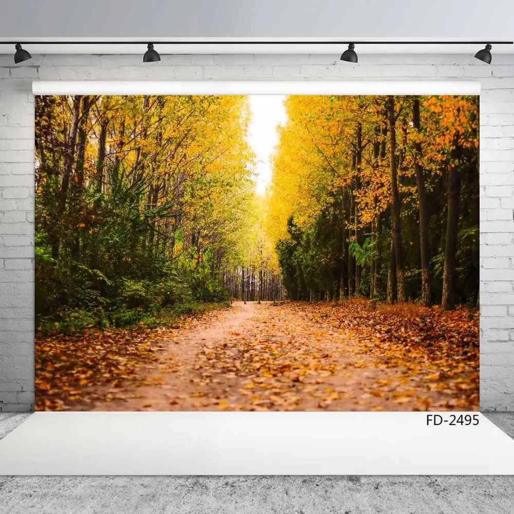 

Fallen Leaves Road Forest Path Autumn Wood Portrait Children Young Photography Background Photographic Backdrop For Photo Studio