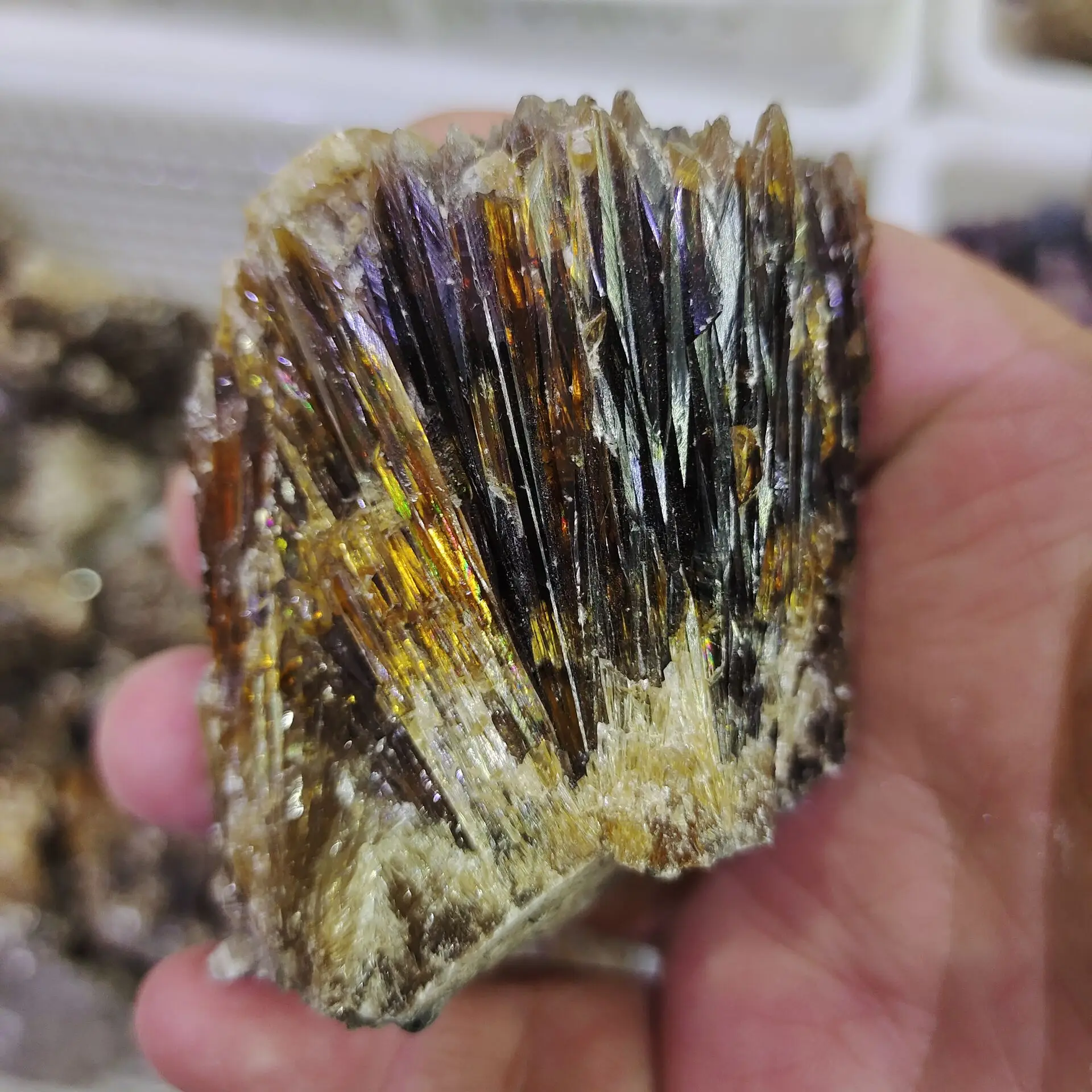 1pcs 200-300g Natural yellow amber calcite raw stone crystal gem collection of rough rock mineral specimens healing home decor | Дом и сад
